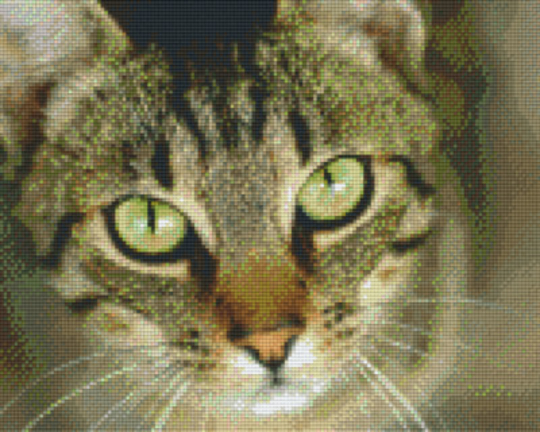 Tabby Cat Nine [9] Baseplate PixelHobby Mini-mosaic Art Kit image 0